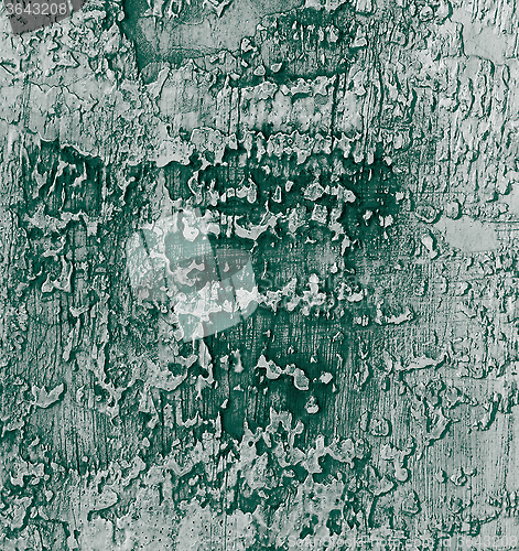 Image of Cement Wall Background 