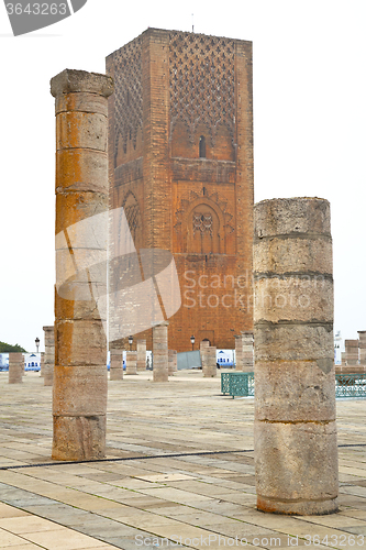 Image of the   chellah  in morocco africa  old roman  