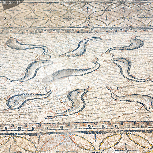 Image of roof mosaic in the old dolphin