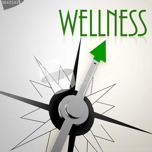 Image of Wellness on green compass