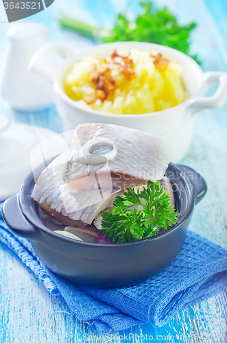 Image of herring