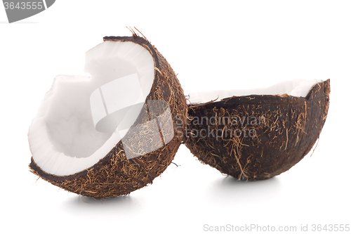 Image of Coconut