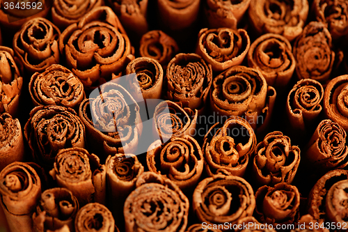 Image of ceylon cinnamon