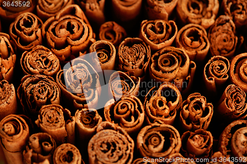 Image of ceylon cinnamon