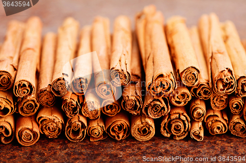 Image of ceylon cinnamon