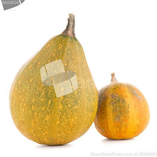 Image of Pumpkins