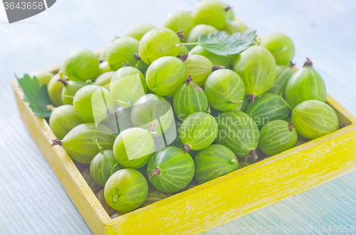 Image of gooseberry