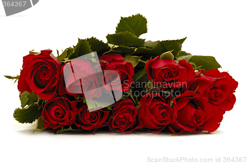 Image of Bouquet of fose flowers on white background