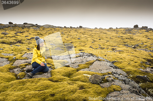 Image of Surrounded by Icelandic moss