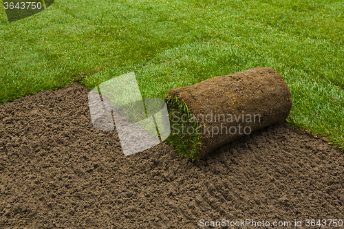 Image of Lawned garden 