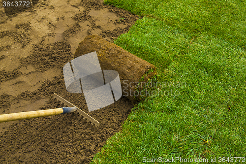 Image of Lawned garden 