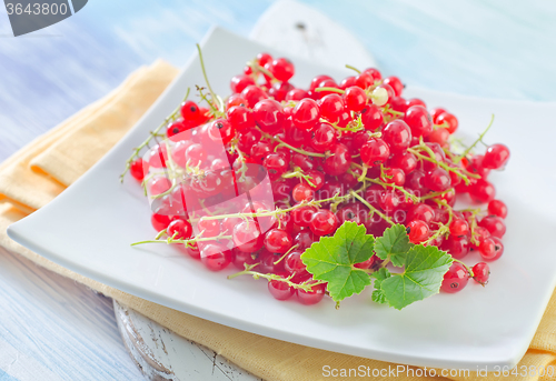 Image of red currant