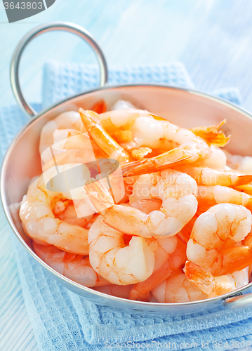 Image of shrimps