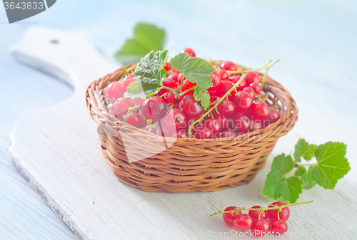 Image of red currant