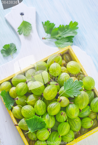 Image of gooseberry