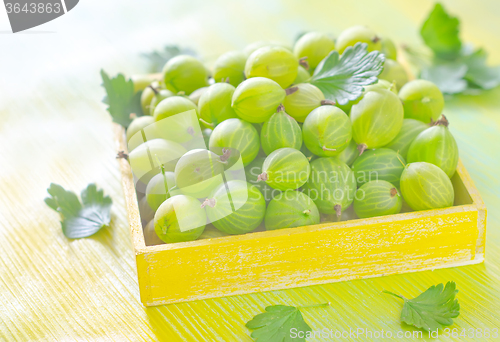 Image of gooseberry