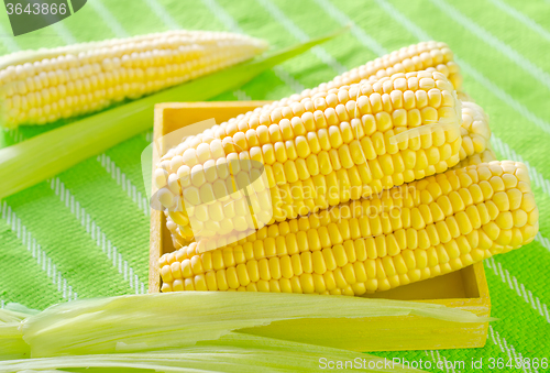Image of raw corn