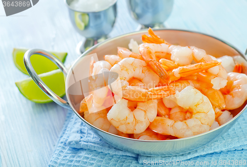 Image of shrimps