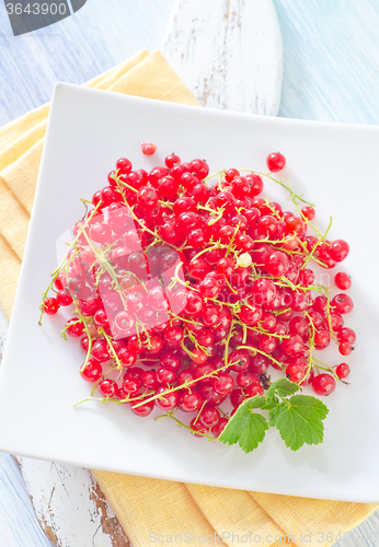 Image of red currant