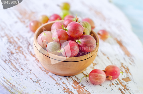 Image of gooseberry