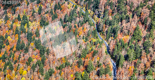 Image of Scenic Autumn Road