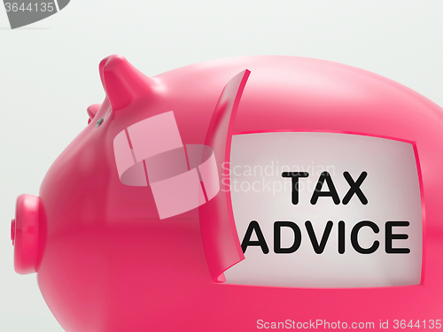 Image of Tax Advice Piggy Bank Shows Advising About Taxes