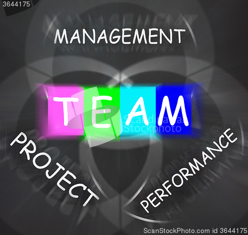 Image of Words Displays Team Management Project Performance