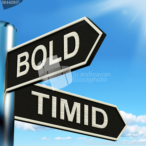 Image of Bold Timid Signpost Shows Extroverted And Shy