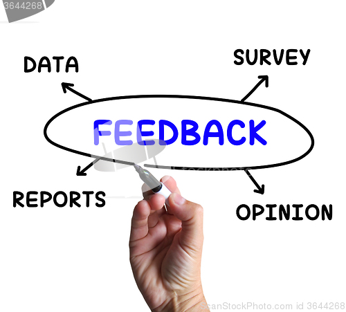 Image of Feedback Diagram Means Survey Reports And Opinion