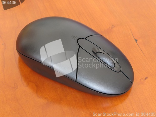 Image of Black Mouse