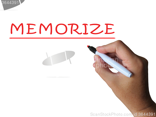 Image of Memorize Word Means Commit Information To Memory