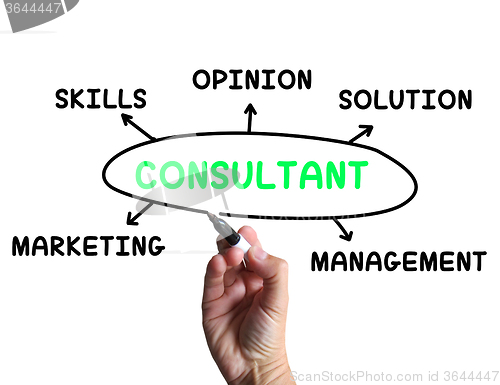 Image of Consultant Diagram Means Specialist Skills And Opinions