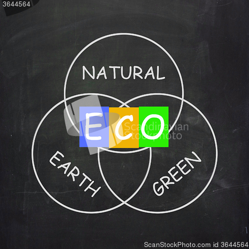 Image of ECO On Blackboard Shows Environmental Care Or Eco-Friendly Natur