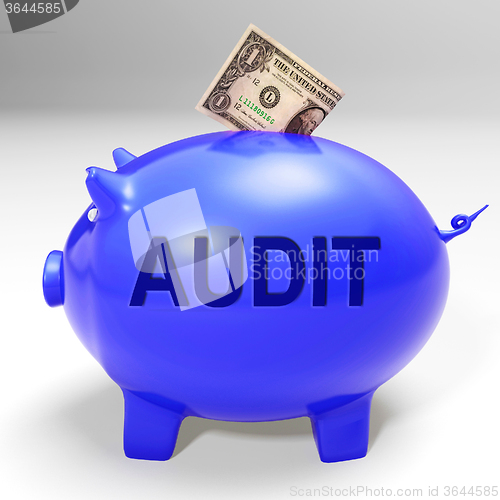 Image of Audit Piggy Bank Means Auditing Inspecting And Finances