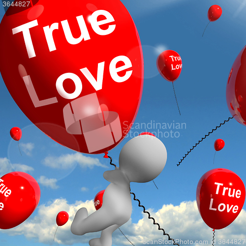 Image of True Love Balloons Represents Couples and Lovers