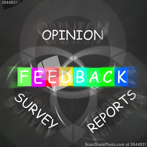 Image of Feedback Displays Reports and Surveys of Opinions