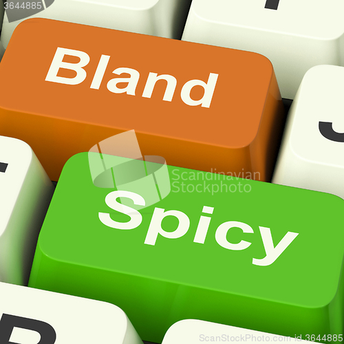 Image of Bland Spicy Keys Shows Plain Hot Cooking Flavours