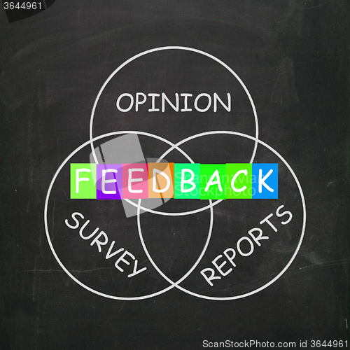 Image of Feedback Gives Reports and Surveys of Opinions