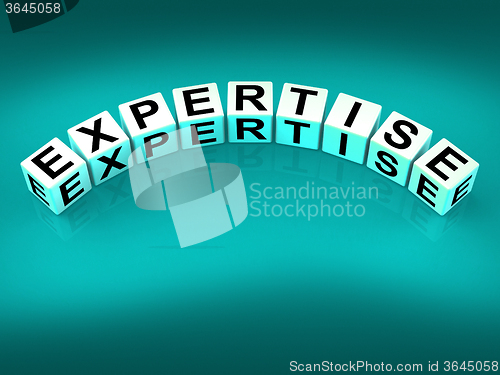 Image of Expertise Blocks Mean Expert Skills Training and Proficiency