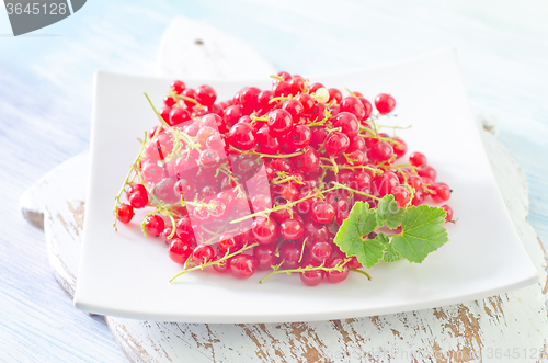 Image of red currant