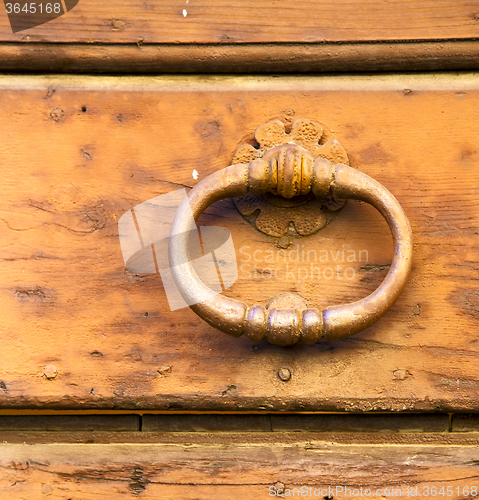 Image of  varese   brass brown knocker in a   closed wood door venegono i