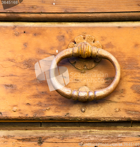 Image of  varese   brass brown knocker in a   closed wood door venegono i
