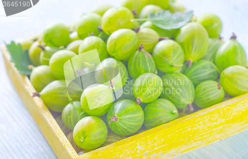 Image of gooseberry