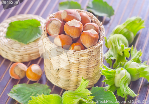 Image of hazelnuts