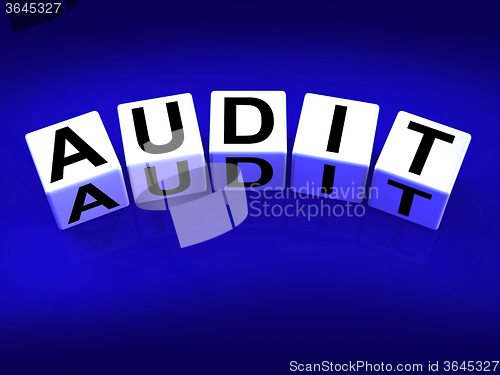 Image of Audit Blocks Refer to Investigation Examination and Scrutiny