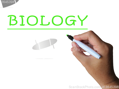 Image of Biology Word Shows Study Of Animals And Plants