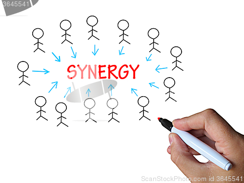 Image of Synergy On Whiteboard Means Union And Collaboration