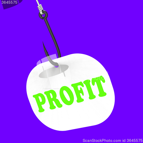 Image of Profit On Hook Shows Financial Incomes And Earnings