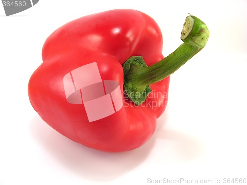 Image of red pepper