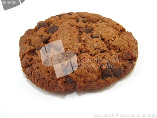 Image of chocolate cookie